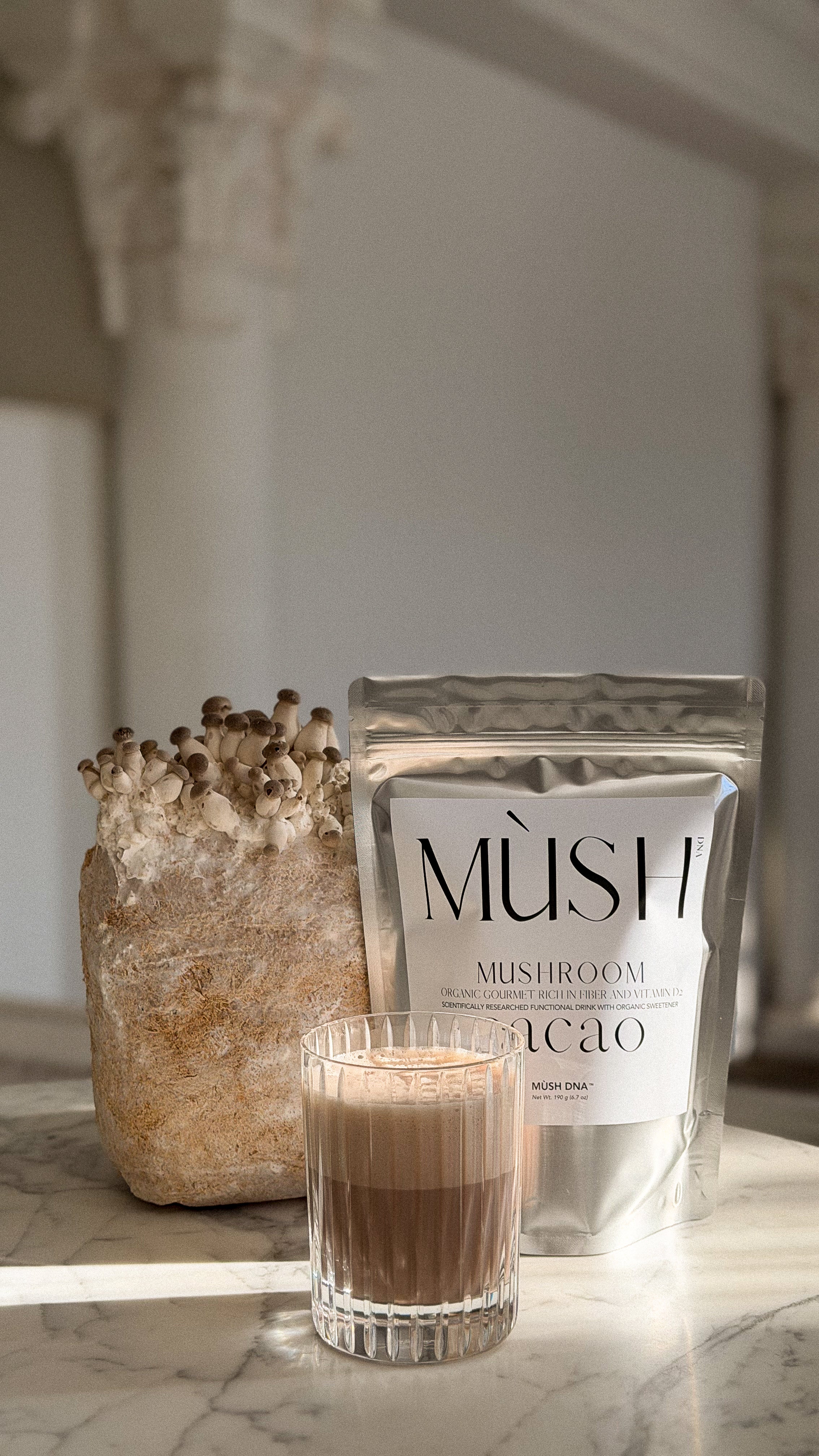 MÙSH DNA Mushroom Cacao 54 g